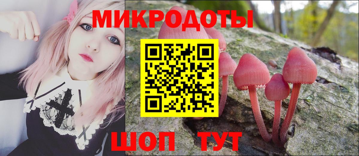 где найти   Вход с VPN  Новотроицк  Псилоцибиновые грибы Psilocybe 